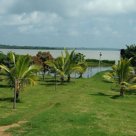 The Peepal Tree, Kabini Begūr 외부 사진