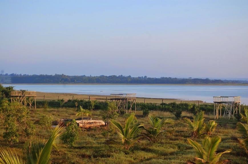 The Peepal Tree, Kabini Begūr 외부 사진