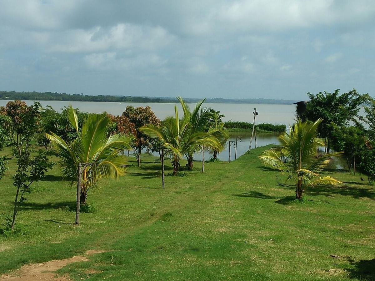 The Peepal Tree, Kabini Begūr 외부 사진